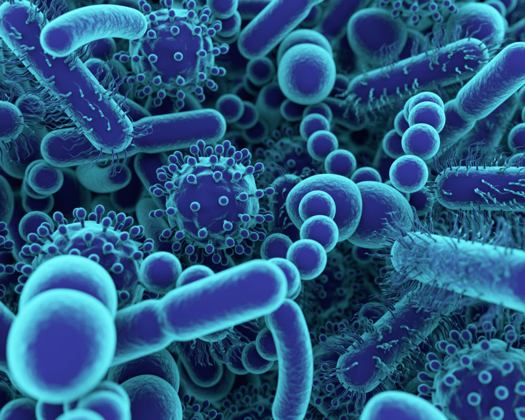 Le rôle du microbiote